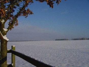 10DSC01480 10DSC01480