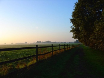 22DSC01793 22DSC01793