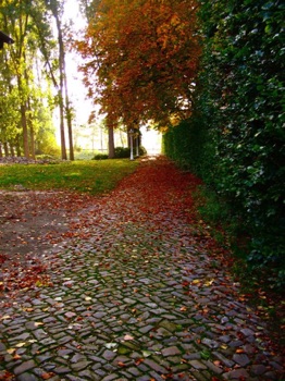 25IMG_4406 25IMG_4406