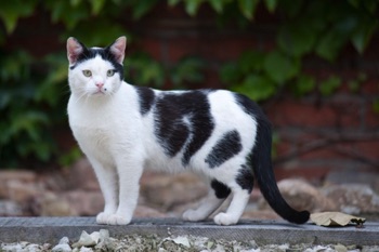 36DSC_1568 36DSC_1568